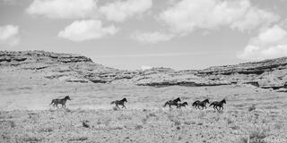 Chasing Dust and Sky
