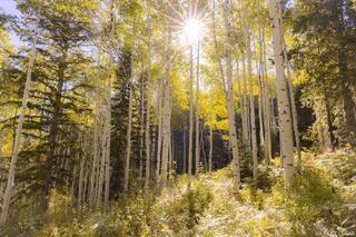 September Sun in Bartholomew Canyon