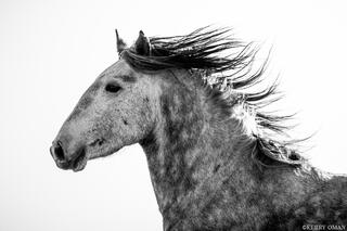 Strands of the West