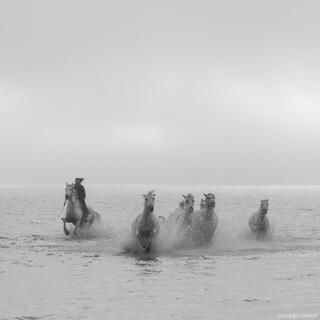 Out of the Mist