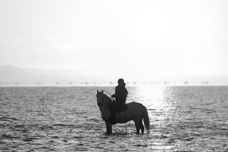 Still Water, Silent Watch