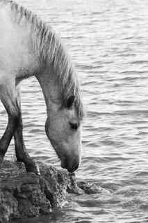 Edge of Still Water