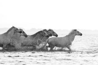 Leading the Line