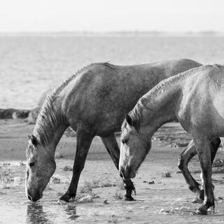 Low Tide Rhythm