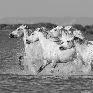 Stride for Stride
