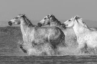 Close Formation