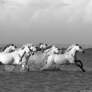 Torrent of Grace