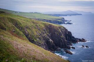 Cliffs and Fields of the Dingle Peninsula