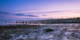 Twilight Shoreline in Galway