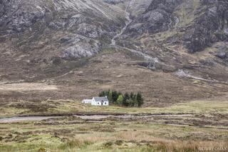 Shelter in the Glen