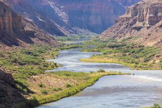 River’s Grace