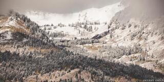 Layers of the First Snow