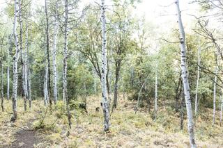 September Stillness