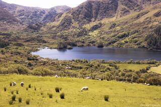 Where Mountains Hold the Lake