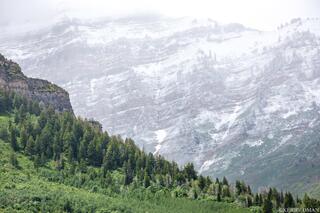 Mist Over Timpanogos