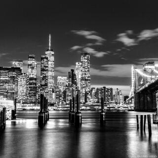 Stillness Beneath the Bridge