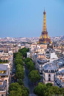 Evening Lines of Paris