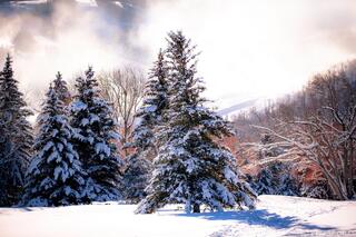 Winter Glow in Park City