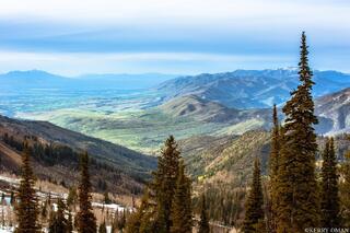Valley Awakening