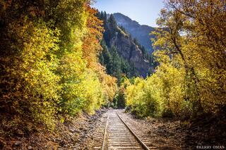 Tracks Through Autumn Light