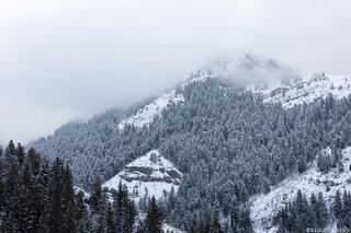 Into the Cloudline