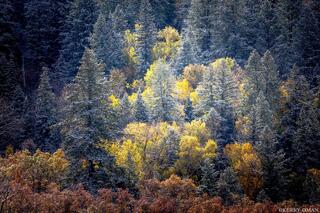 First Frost, Last Light