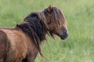 Braided by Wind and Time
