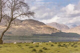 Highland Stillness