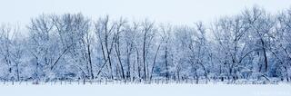 Silent Row