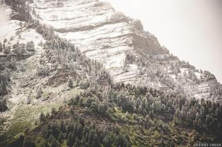 Echoes of Winter