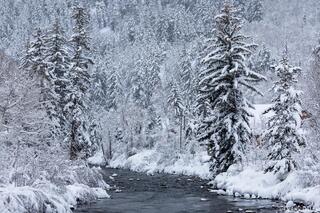 Winter Along the Upper Provo