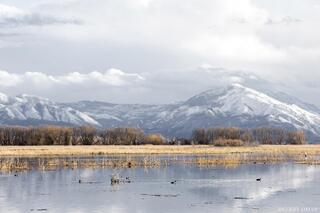 Edge of Winter, Utah Lake