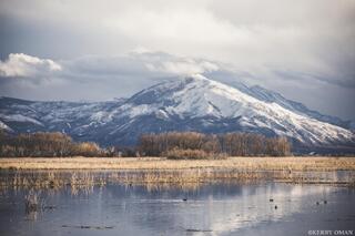 Silent Shoreline, Utah Lake