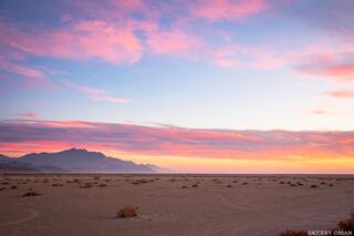 The Painted Horizon