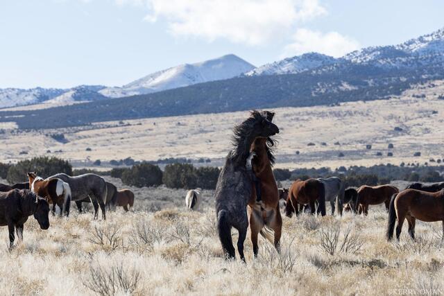 Clash on the Range print