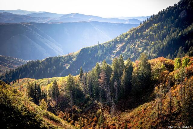 Autumn Layers in Bartholomew Canyon print