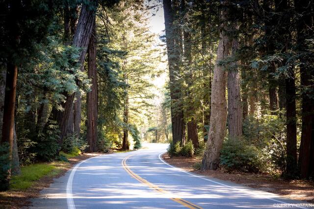 Winding Through Big Sur print