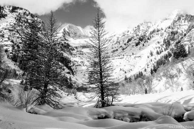 Guardians of Winter print