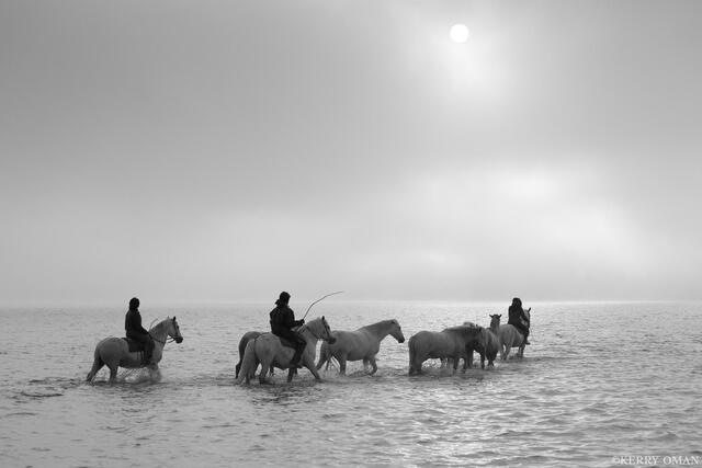 Crossing the Morning Light print