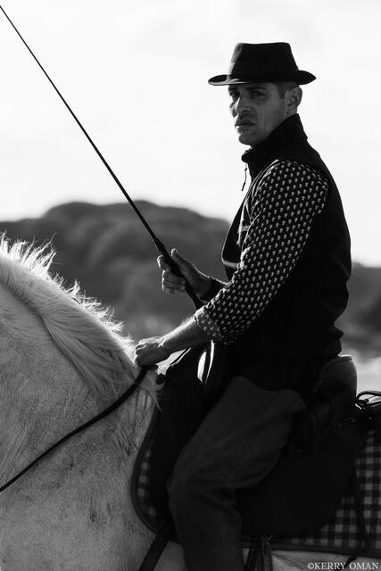 Camargue Guardian print