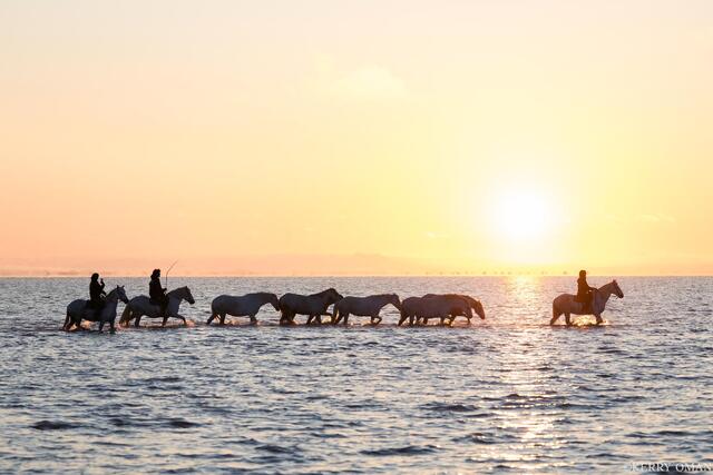 Procession at Dawn print