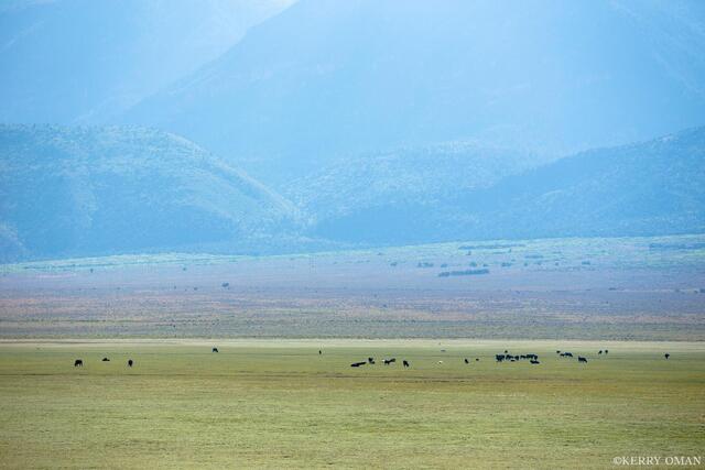Across the Open Range print