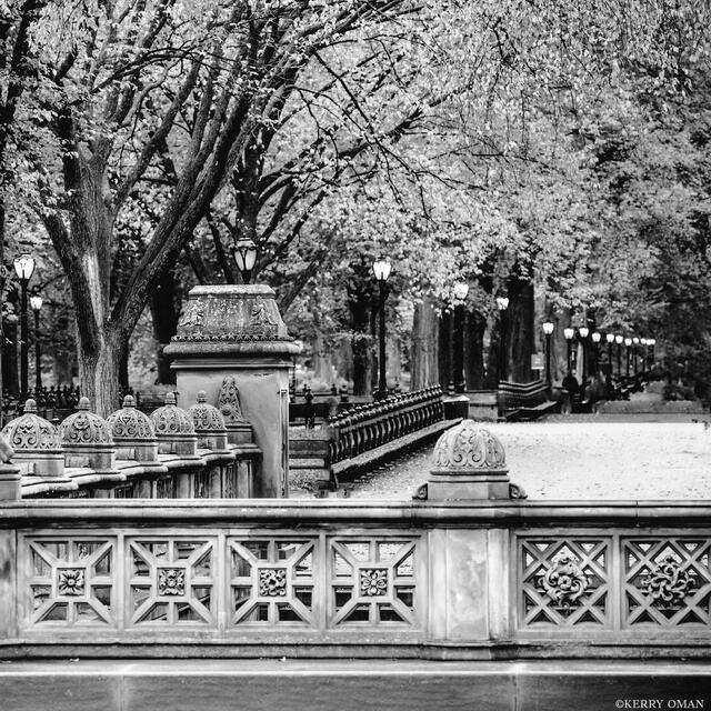 Ornament and Silence print