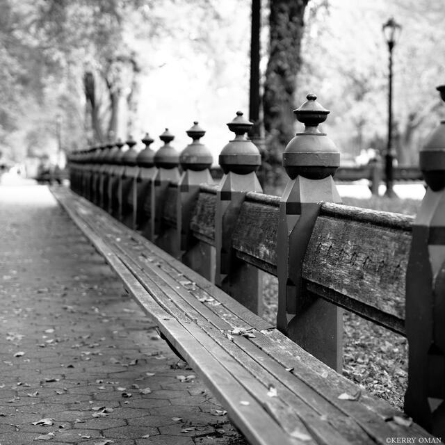 The Long Pause print