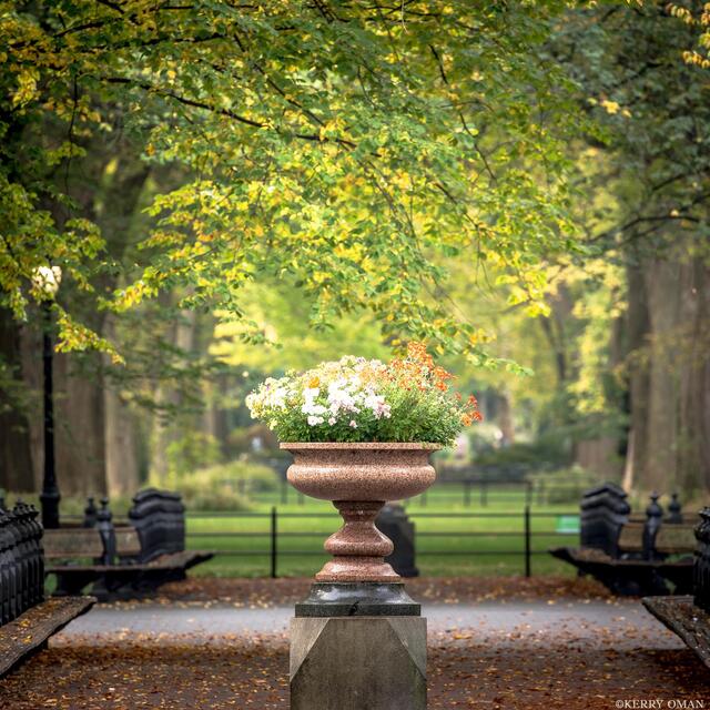 Garden Stillness print