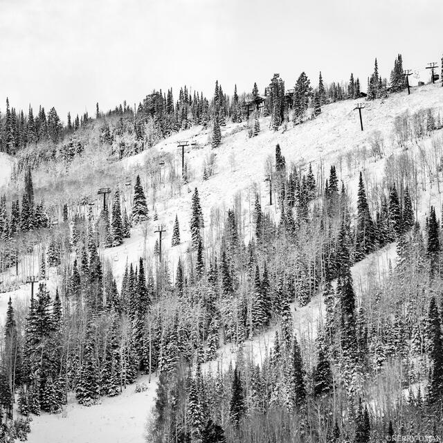 Lift Line and Timber print