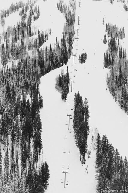 Lines of Descent print