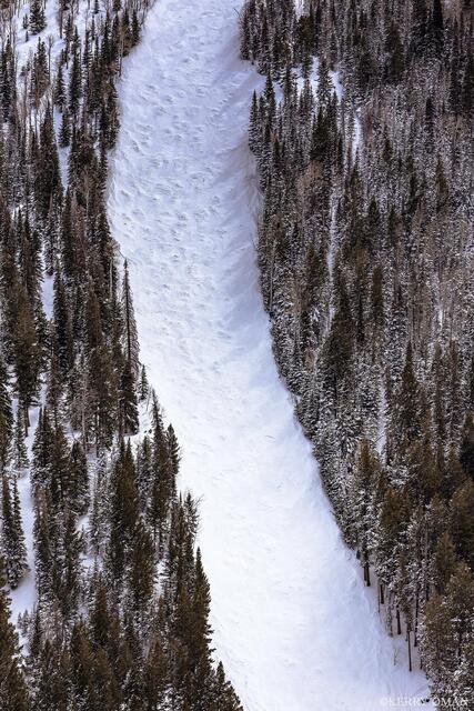 Carved in Snow print