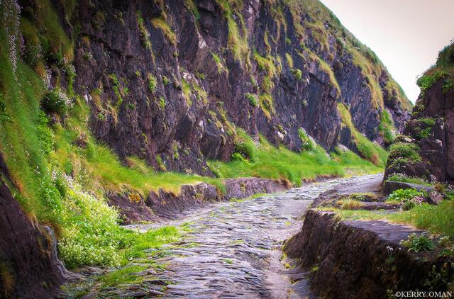 The Old Path Through Dingle print