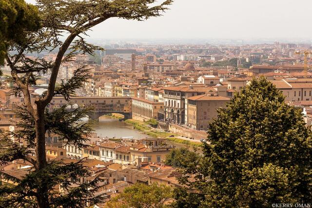 Framed in Gold: View Over Florence print